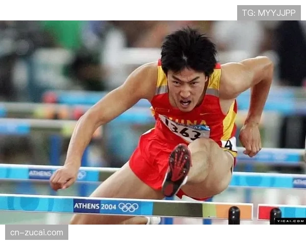 男子110米栏半决赛 跨栏技术与节奏控制